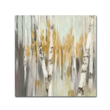 Julia Purinton 'Silver Birch I' Canvas Art,35x35